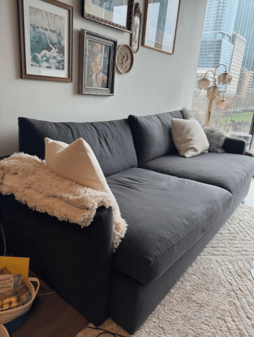 Crate & Barrel Lounge Couch - Thumbnail 4